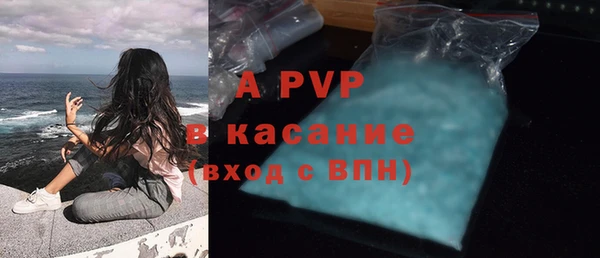 индика Алексин