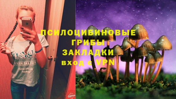 прущие крисы Алексеевка