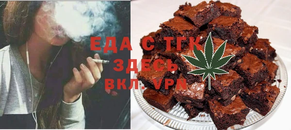 индика Алексин