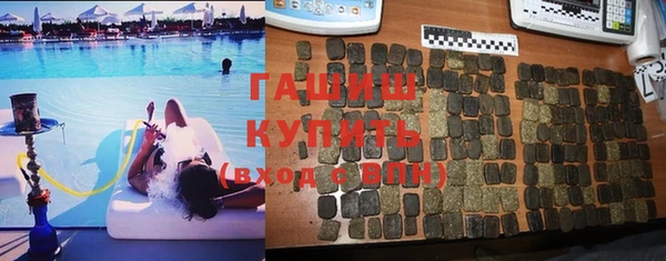 индика Алексин
