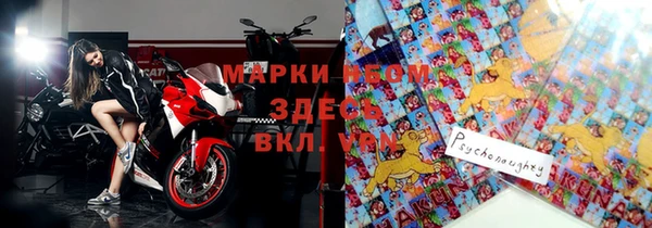 индика Алексин