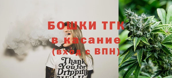 индика Алексин