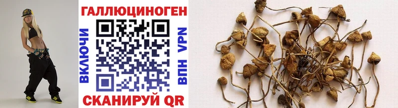 купить закладку  Усть-Илимск  Псилоцибиновые грибы Cubensis 